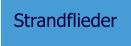 Strandflieder